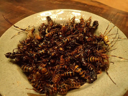 キイロスズメバチはいろんな意味で微妙だからこそ捕って食べる ざざむし